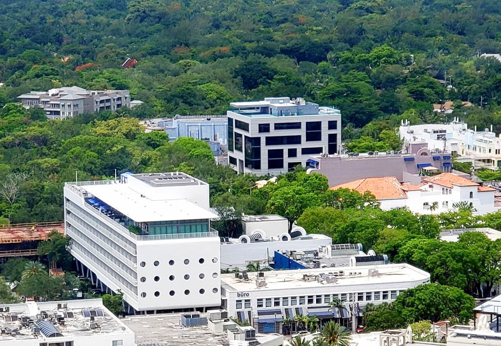 Coconut Grove Buildings